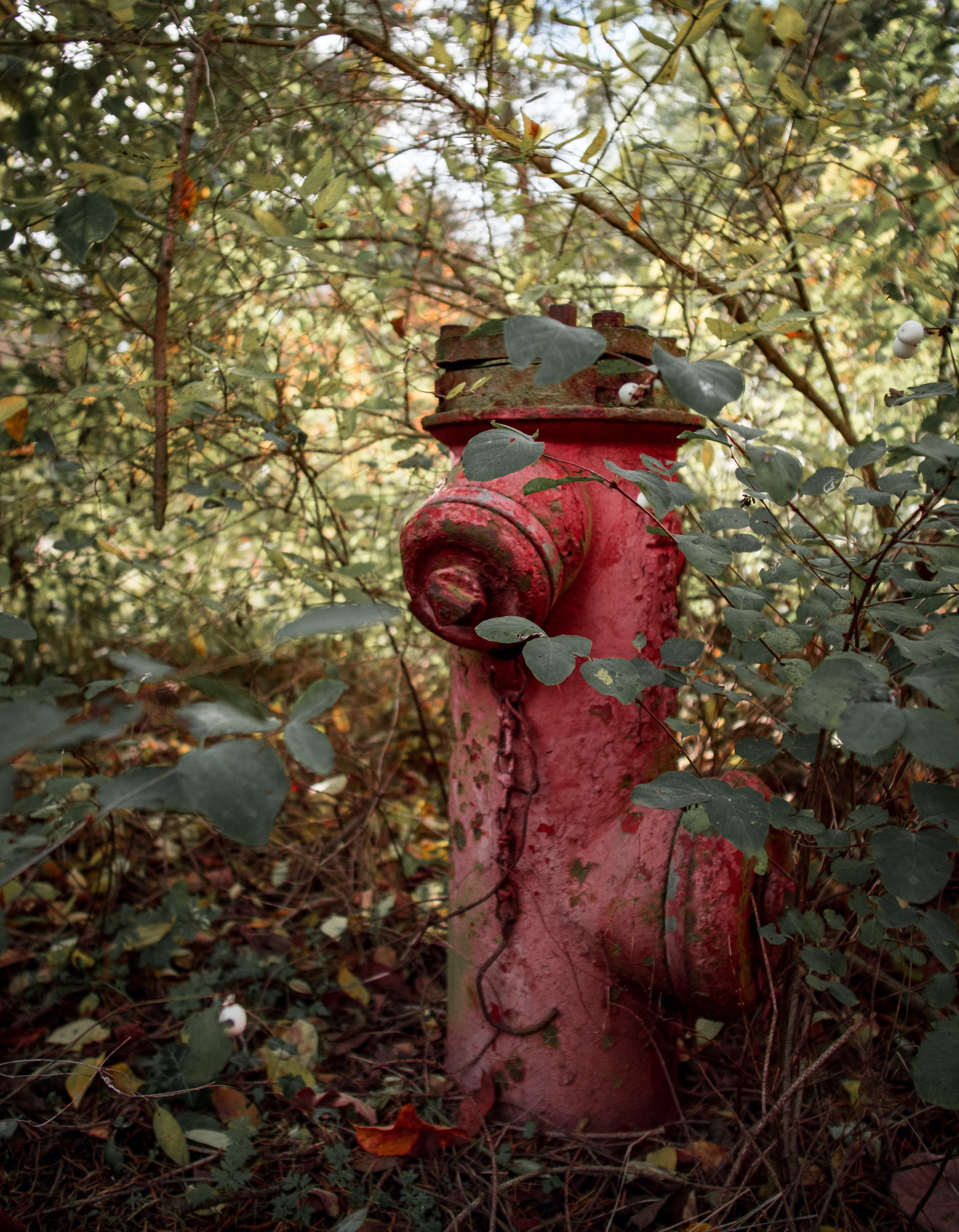 Heilstätten Beelitz05