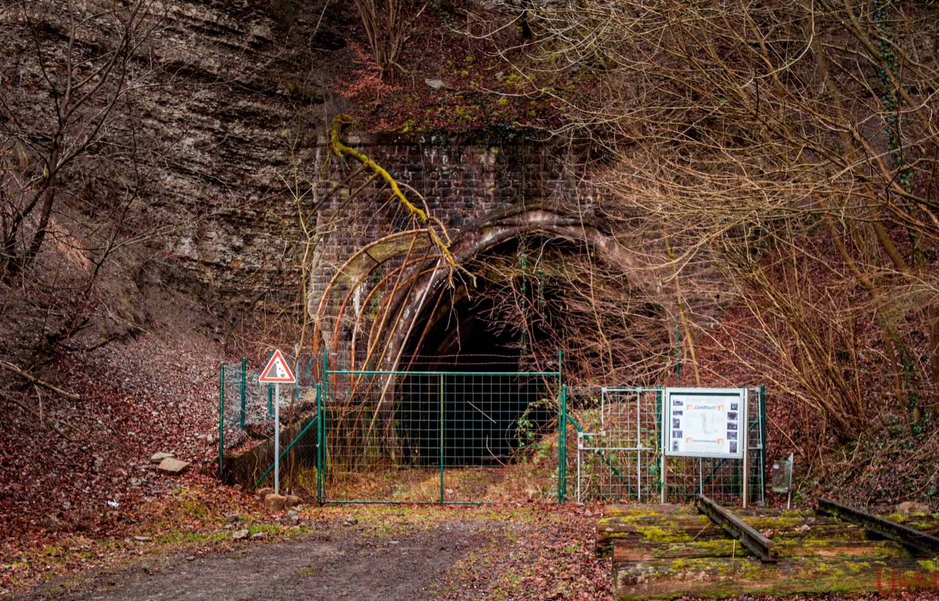 Goldfisch Tunnelportal